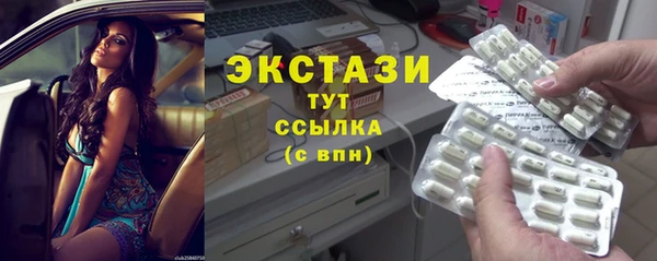 индика Горнозаводск
