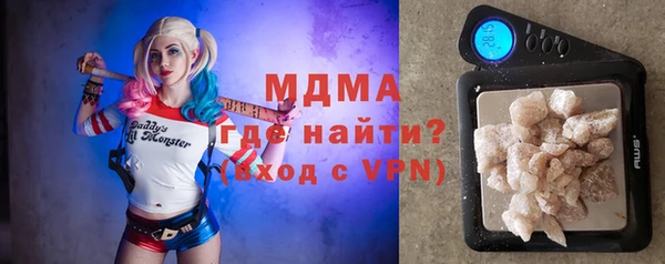 индика Горнозаводск