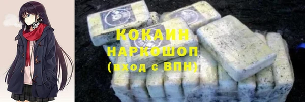 индика Горнозаводск