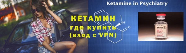 индика Горнозаводск