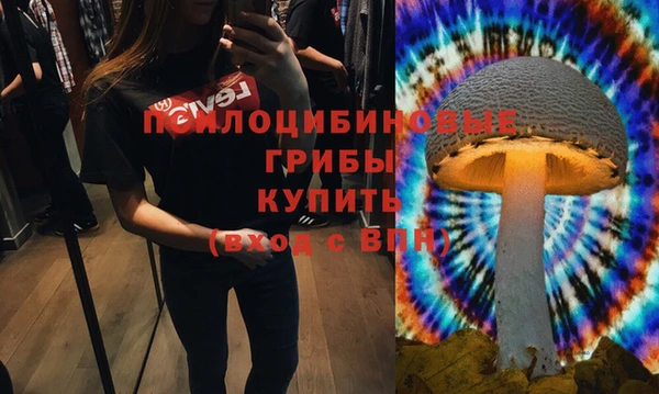 индика Горнозаводск
