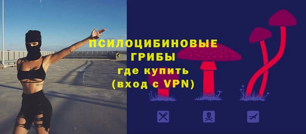 индика Горнозаводск