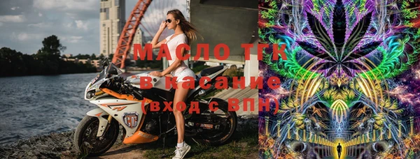индика Горнозаводск