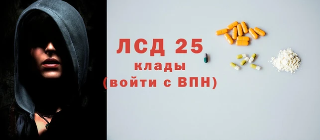индика Горнозаводск