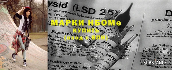 индика Горнозаводск