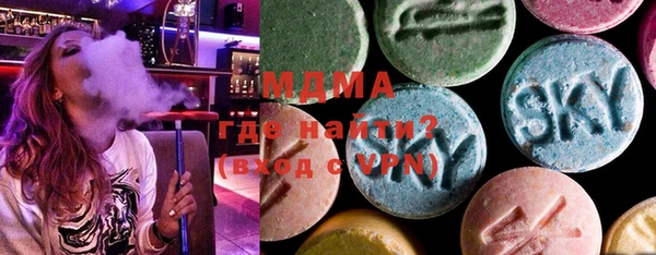 индика Горнозаводск