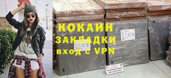 индика Горнозаводск
