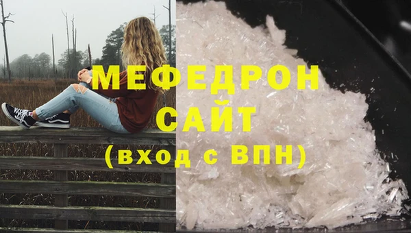 индика Горнозаводск