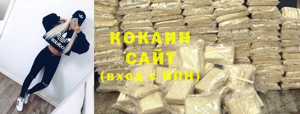 индика Горнозаводск
